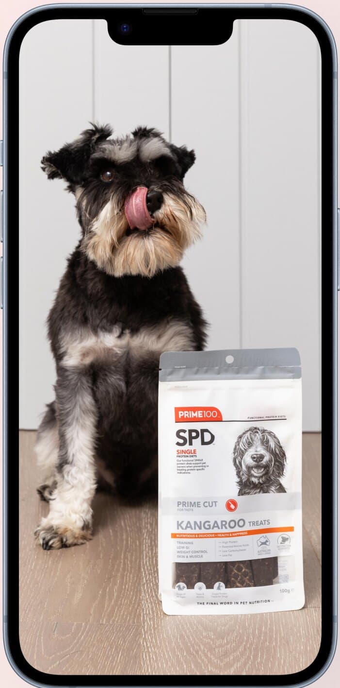 A dog sitting beside a bag of Prime100, shot vertically on a phone